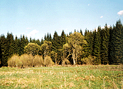 esk Kanada