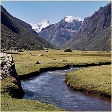 Peru 2005