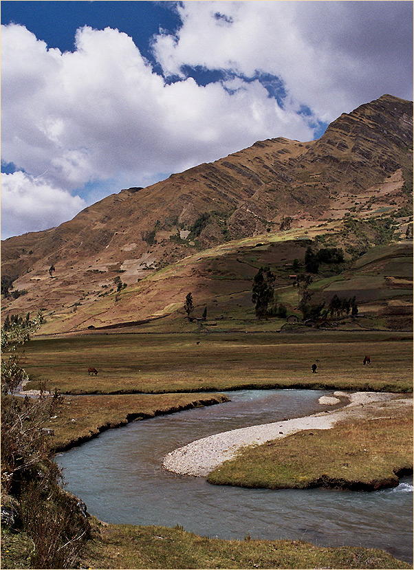 Peru 2005