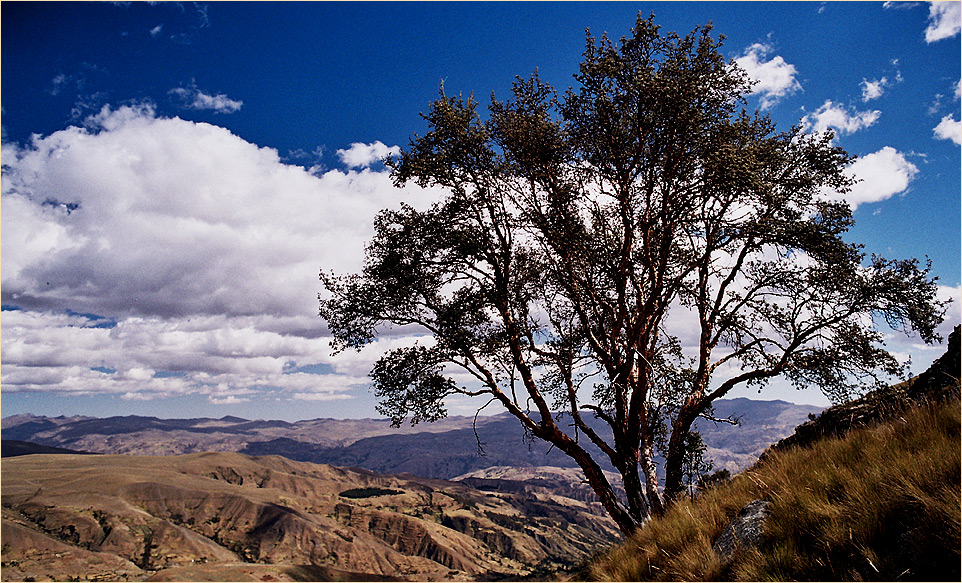 Peru 2005