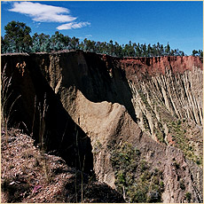 Peru 2005