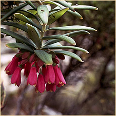Peru 2005
