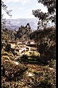 Llupa