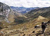 Los Cedros Trek III.